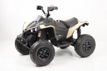   BRP Can-Am Renegade (Y333YY) swat  -      